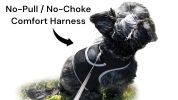 Rechargeable Pocket GPS GSM Tracking Collars for Hunting Dogs Realtime Size:S