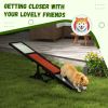 PawHut Wooden Dog Agility Seesaw for Training and Exercise, Platform Equipment Run Game Toy, Weather Resistant Pet Supplies, 71" L x 12" W x 12" H